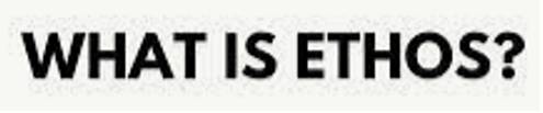 Ethos - the set of beliefs, ideas, etc. about the social behaviour and relationships of a person or group