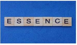 Essence  - The most important quality or feature of something