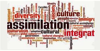 Assimilate  - The process of fully understanding an idea or some information