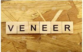 Veneer  - an outer appearance of a particular quality that hides the true nature of somebody/something
