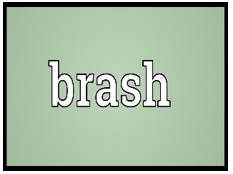 Brash  - confident in an aggressive way