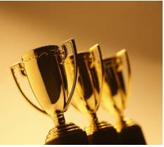 Accolades  - Praise or an award for an achievement that people admire