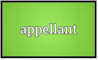 Appellant  - A person who appeals against a decision made in court