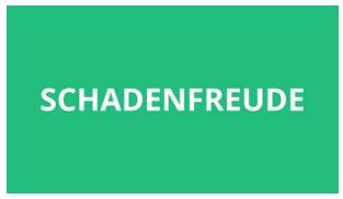 Schadenfreude  - a feeling of pleasure at the bad things that happen to other people