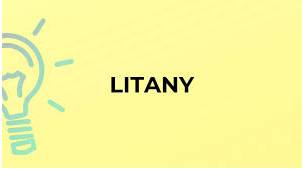 Litany  - a long boring account of a series of events, reasons, etc.