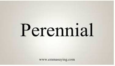 Perennial  - continuing for a very long time