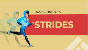 Stride  - To walk with long steps in a particular direction.