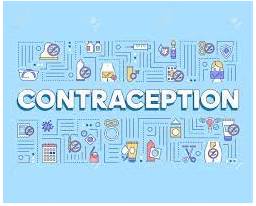 Contraception  - the practice of using artificial methods to avoid becoming pregnant when having sex