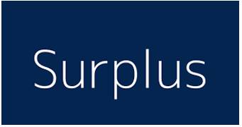 Surplus  - an amount that is extra or more than you need