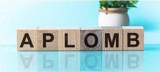 Aplomb - if somebody does something with aplomb, they do it in a confident and successful way, often in a difficult situation