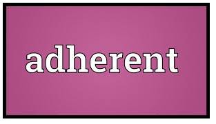 Adherent  - a person who supports a particular set of ideas