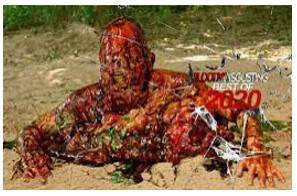 Gruesome  - Horrible and shocking.