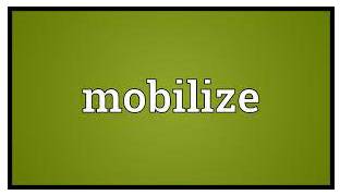 Mobilized  - to organize a group of people to do this.