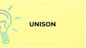 Unison  - if people do or say something in unison, they all do it at the same time