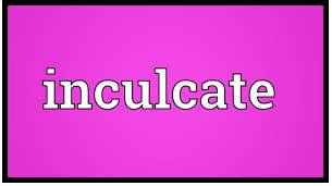 Inculcate  - To cause somebody to learn and remember ideas, moral principles, etc., especially by repeating them often.