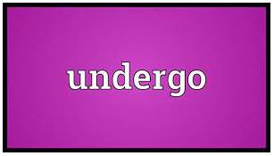 Undergo  - To experience something, especially a change or something unpleasant
