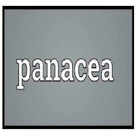 Panacea  - Something that will solve all the problems of a particular situation.