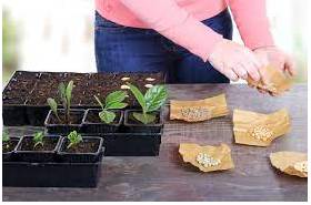 Propagation  - The act of spreading ideas, beliefs or information among many people