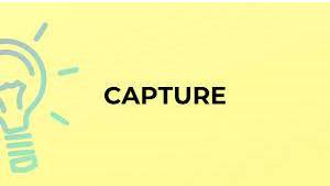 Capture - To catch a person or an animal and keep them as a prisoner or shut them in a space that they cannot escape from