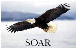 Soar  - If the value, amount or level of something soars, it rises very quickly