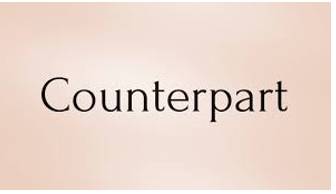 Counterpart  - A person or thing that has the same position or function as somebody/something else in a different place or situation.