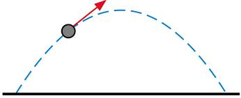 Trajectory  - The curved path of something that has been fired, hit or thrown into the air