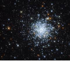 Cluster  - A group of things of the same type that grow or appear close together
