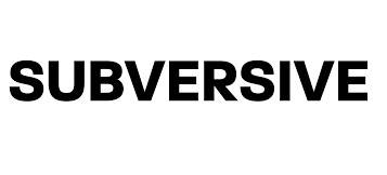 Subversive  - a person who tries to destroy or damage a government or political system by attacking it secretly or indirectly