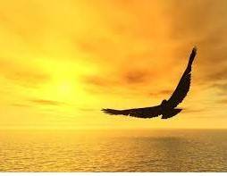 Soaring  - to rise quickly and smoothly up into the air