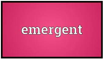 Emergent  - New and still developing.