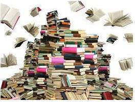 Plethora  - An amount that is greater than is needed or can be used.