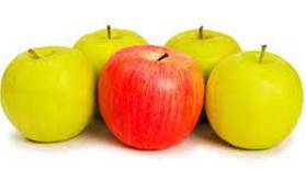 Salience  - The quality of being particularly important or easy to notice.