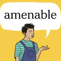 Amenable  - Easy to control.