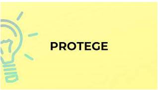 ProtÃ©gÃ©  - A young person who is helped in their career and personal development by a more experienced person.