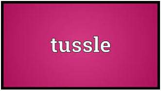 Tussle  - A short struggle, fight or argument especially in order to get something. (हाथापाई