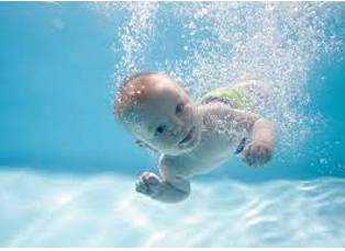 Submerge  - To put something or make something go under the surface of water or liquid.