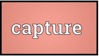 Capture  - To make somebody interested in something.