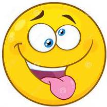 Lunacy  - Behaviour that is stupid or crazy.