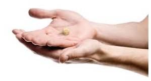 Meagre  - Small in quantity and poor in quality.