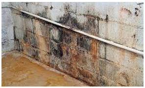 Seepage - The process by which a liquid flows slowly and in small quantities through something.