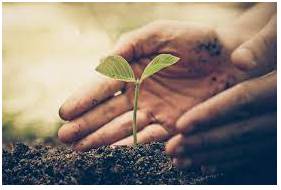 Sustain - To make something continue for some time without becoming less.