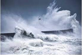 Surge - A sudden increase of a strong feeling.