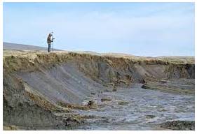 Slump  - To fall in price, value, number, etc., suddenly and by a large amount.