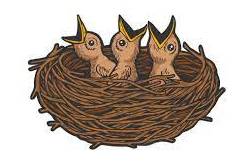 Nestling  - A bird that is too young to leave the nest.