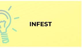 Infested  - To exist in large numbers in a particular place, often causing damage or disease.