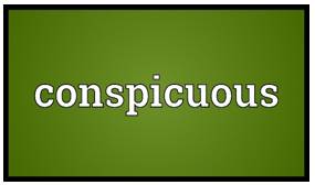 Conspicuous  - Easy to see or notice.