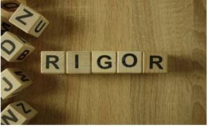 Rigour  - The fact of being strict or severe.