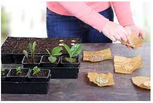 Propagation  - The act of spreading ideas, beliefs or information among many people.
