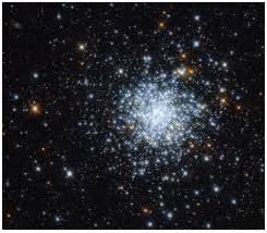Cluster  - A group of things of the same type that grow or appear close together.