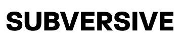 Subversive  - a person who tries to destroy or damage a government or political system by attacking it secretly or indirectly